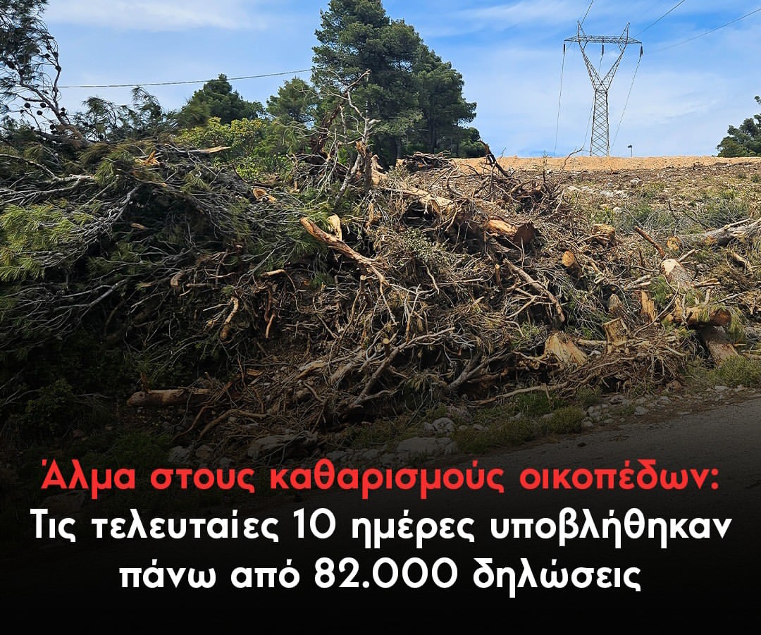 Καθαρισμός οικοπέδων για τη πρόληψη των δασικών πυρκαγιών 